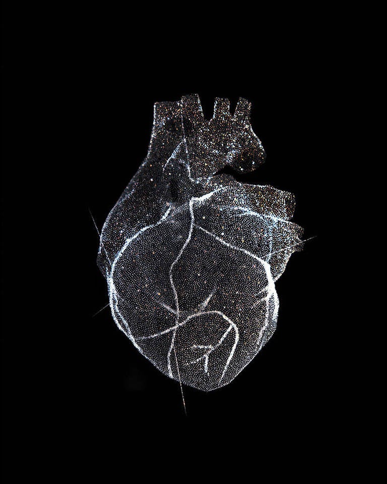 Glass Model of a Heart, love