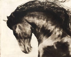 "Born King" Large scale Black and White Majestic Depiction of Horse Running
