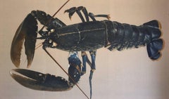 "Blue Catch" Large scale photorealist painting of Blue Lobster on Exposed Linen