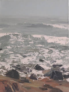 En las rocas I