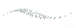 "On Dusk 11" turquoise patina, bronze birds sculpture, flying in formation