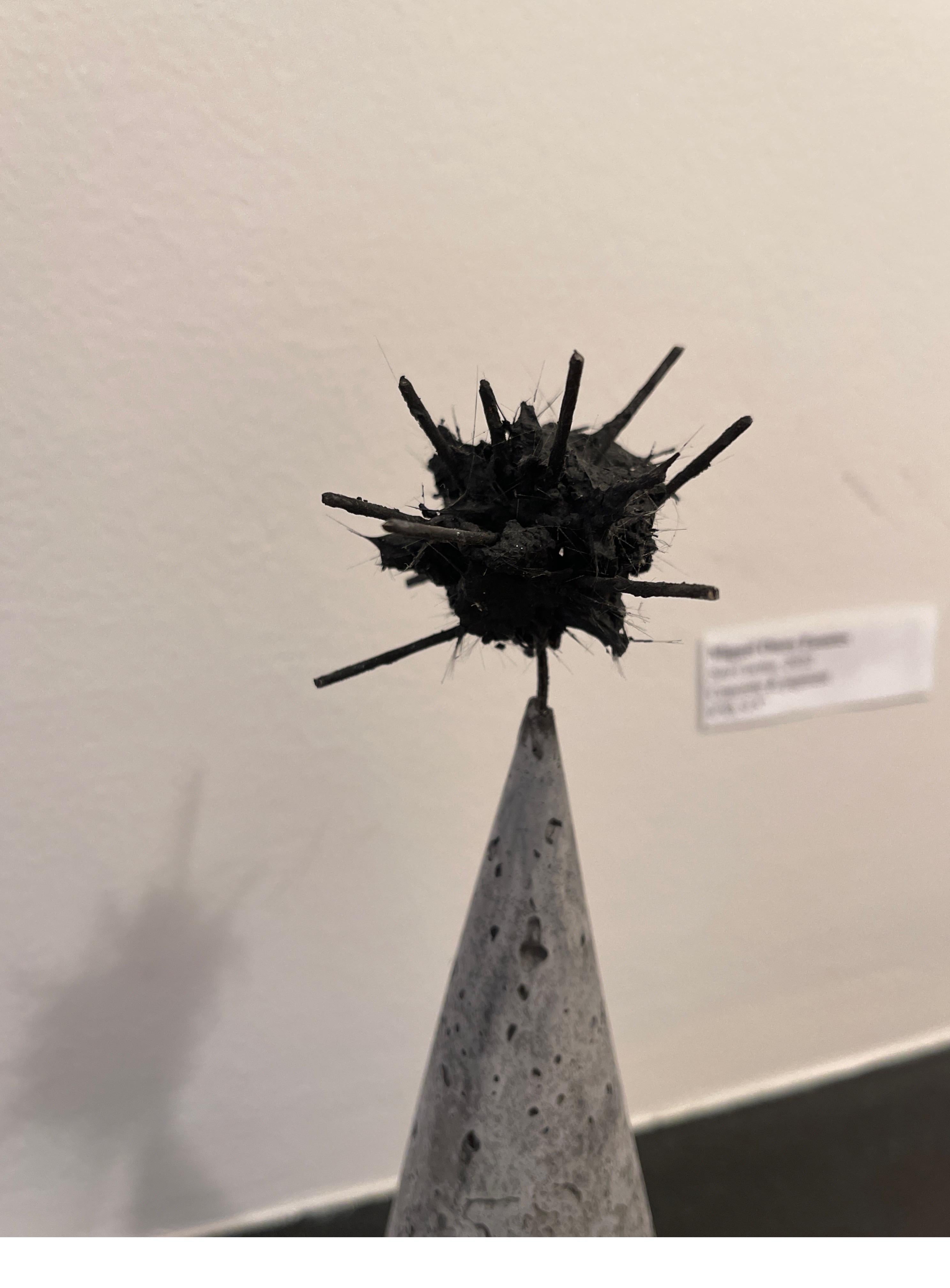 Sea Cactus: Contemporary Abstract Sculpture For Sale 5