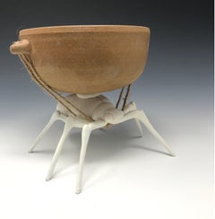 Porcelain and Earthenware "Bowl-back Beetle" by Bethany Krull