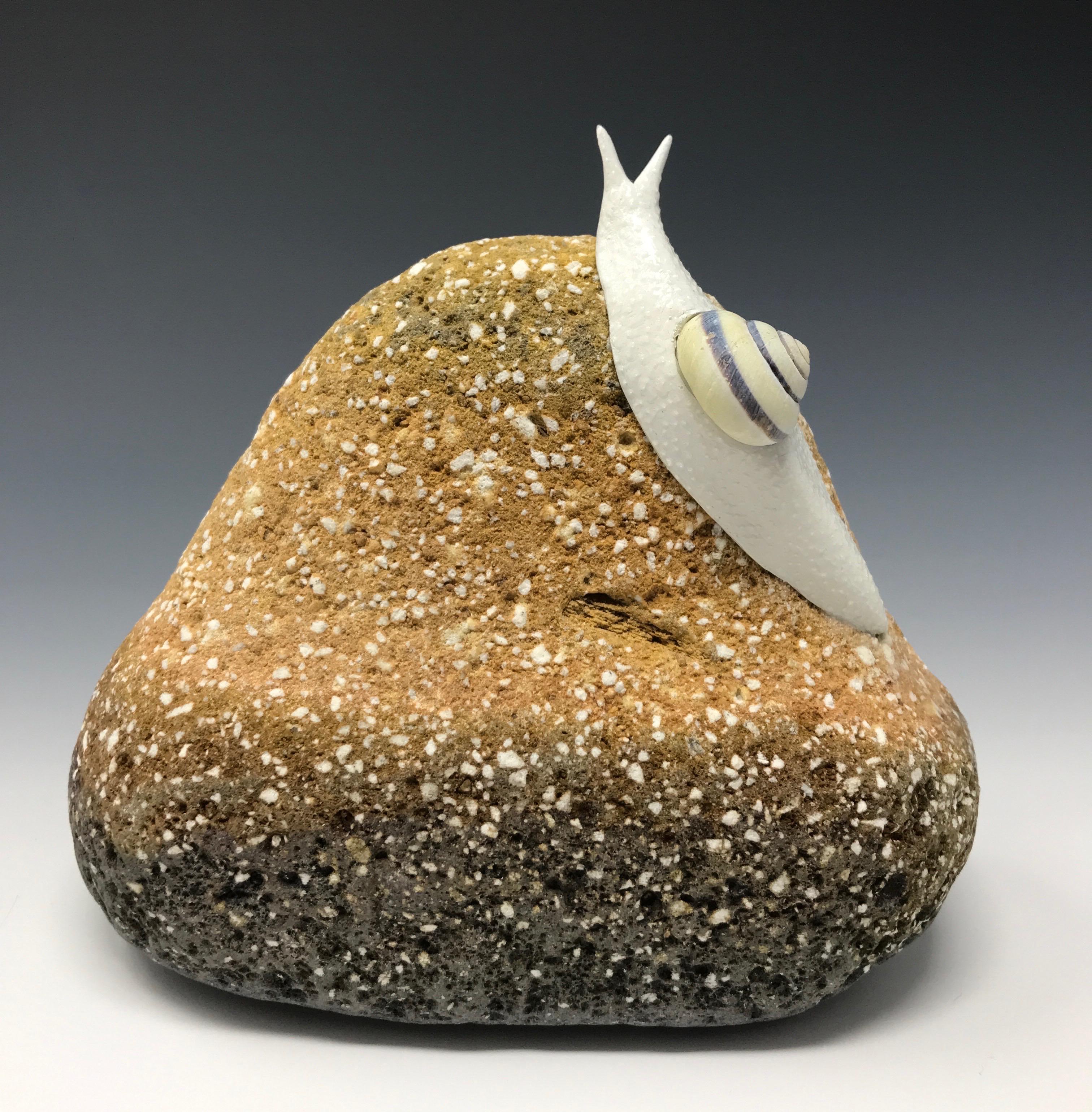 Snail study on a rock form "Traversing Weathered Brick” by Bethany Krull