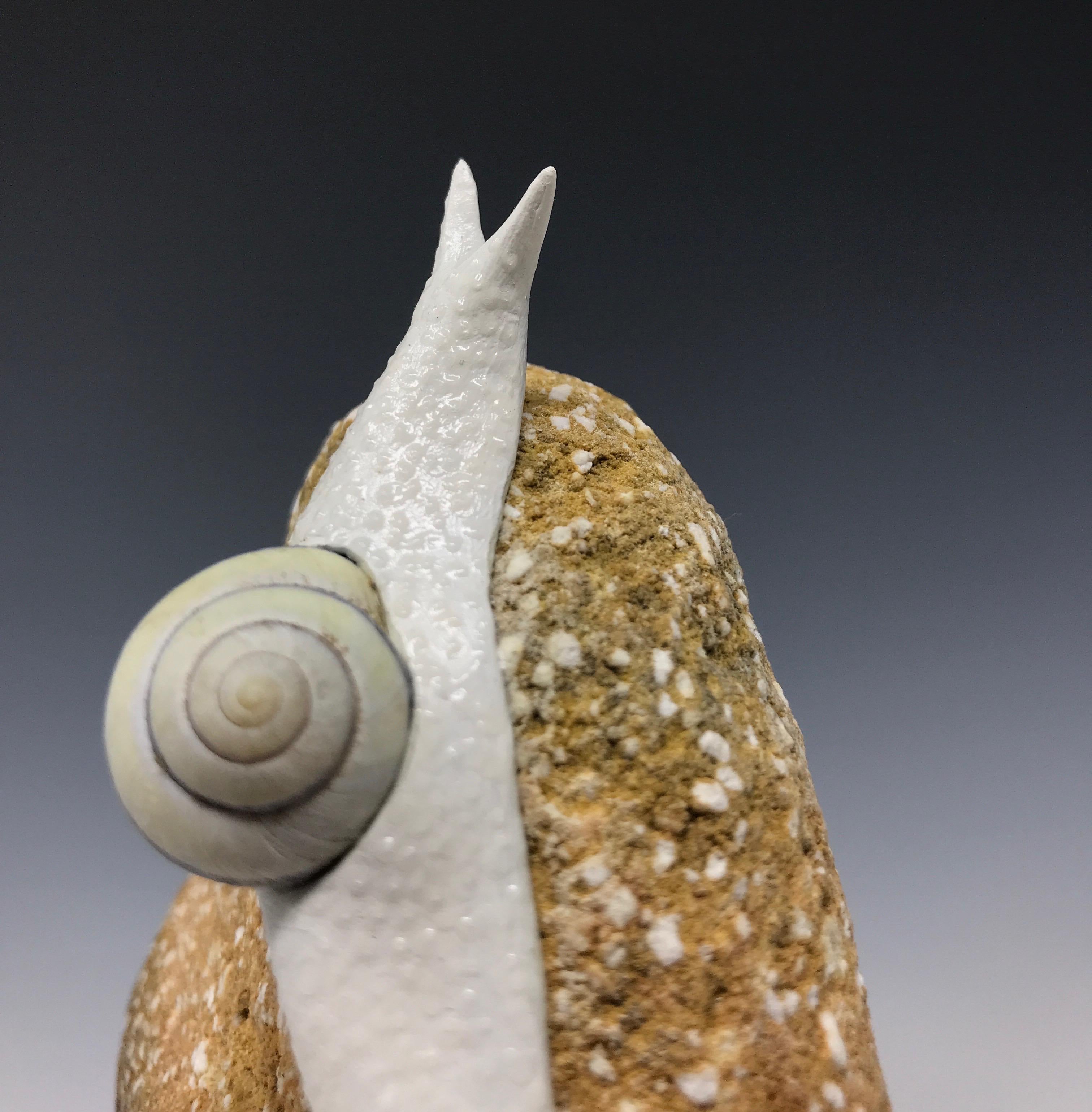 snail rock