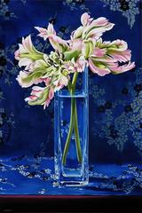 Parrot Tulips with Blue