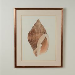 Pair of Vintage Seashell Watercolors by Bonnie Smith