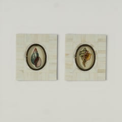 Pair of Petite Bone Framed Seashell Prints