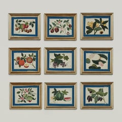 Set of Nine Antique Chinese Botanical Fruit Paintings on Pith Paper