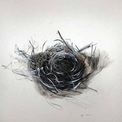 Nest 1