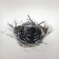 Nest 1 2