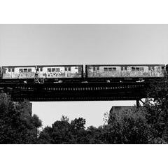 Subway 24 Westfarms Tress 3