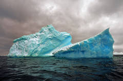 Antarctica #98 9