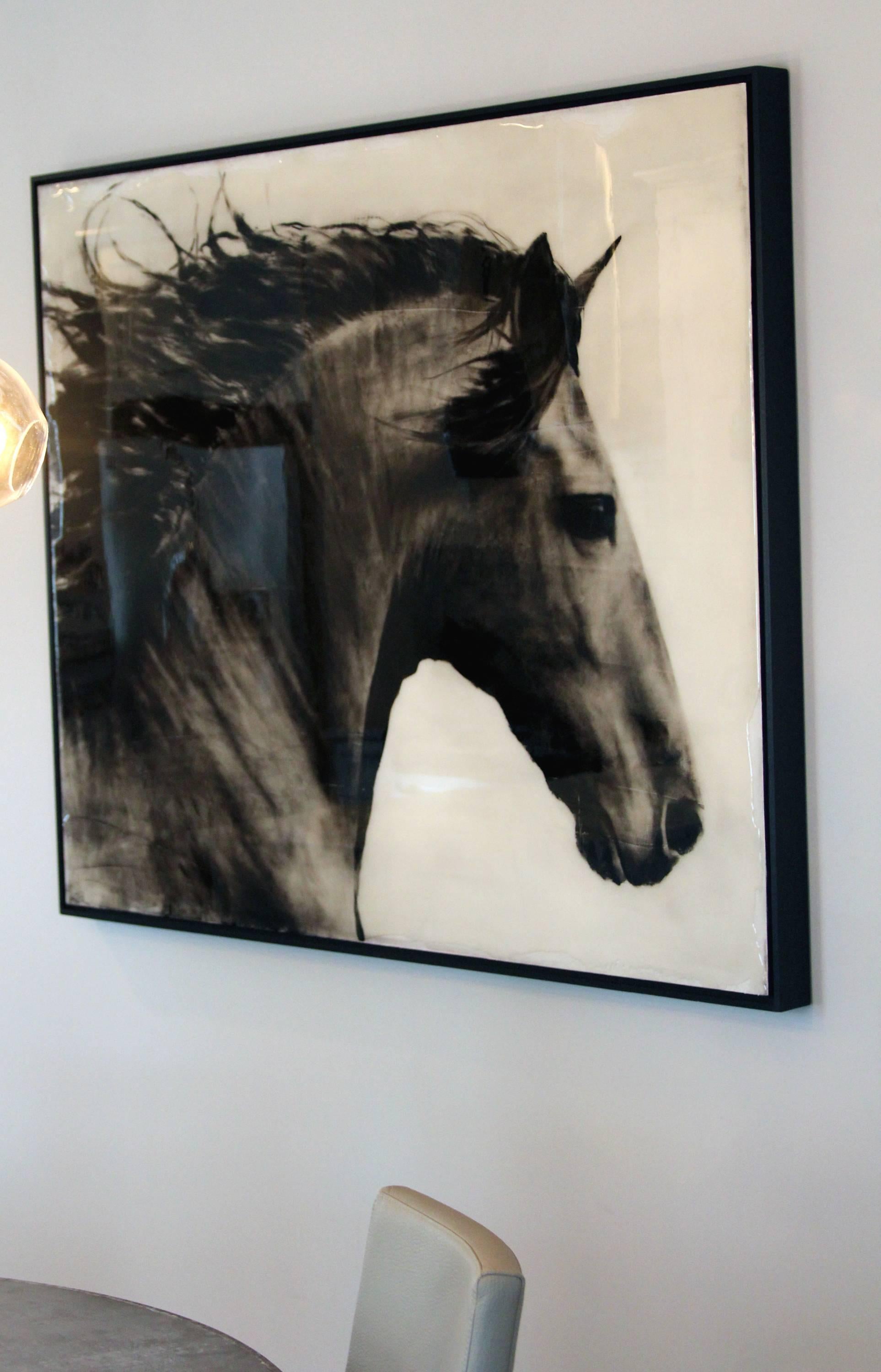 Flee to Freedom ist ein atemberaubendes hyperrealistisches:: schwarz-weißes Pferdegemälde des Künstlers Ken Peloke aus Arizona. Dieses hyperrealistische Pferdegemälde ist in Öl und gegossenem Harz auf Holzplatte gemalt. Es ist 48 x 60 cm groß::