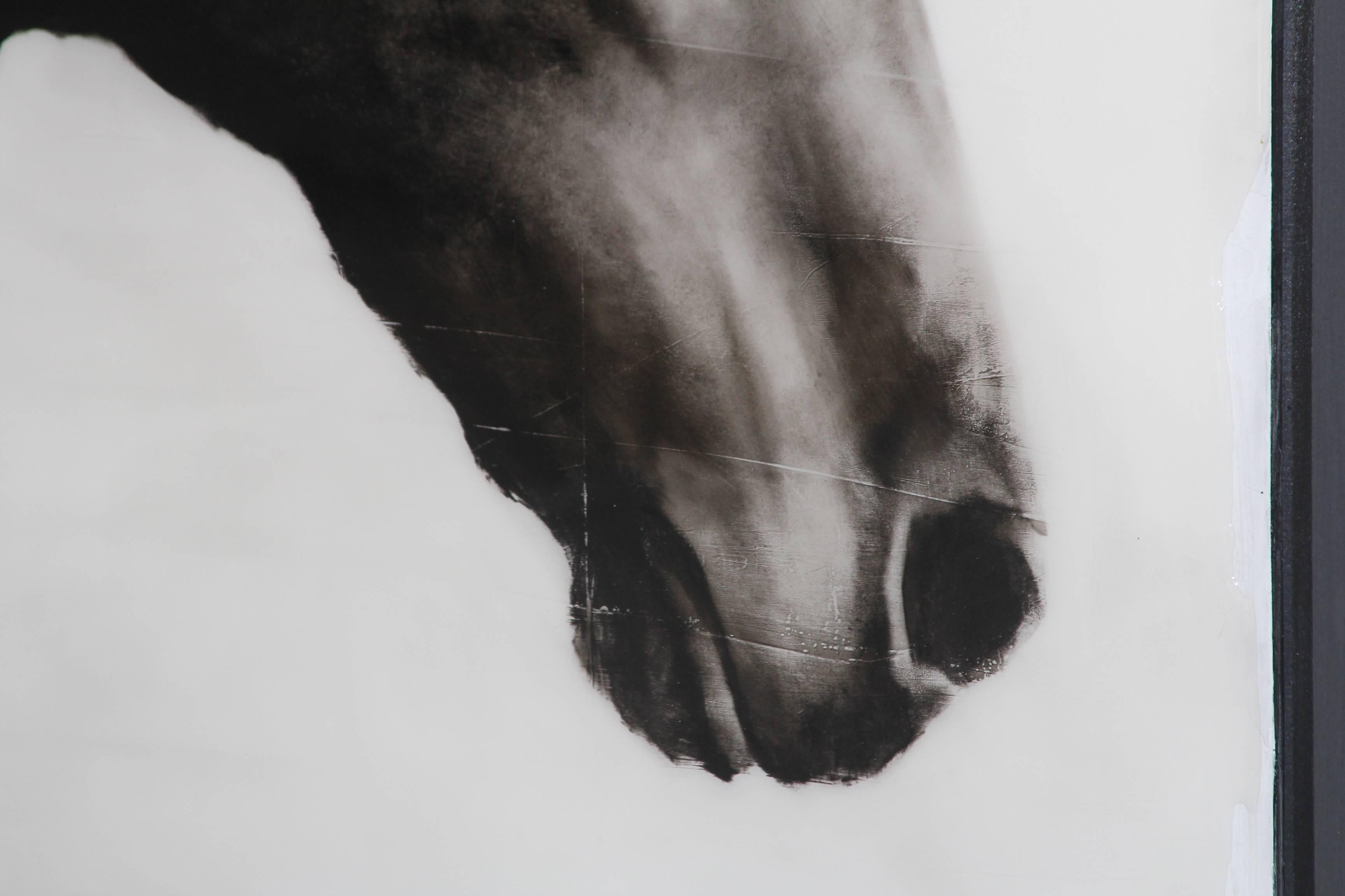 Flee to Freedom, Hyperrealistic Painting, Horse, Equestrian Art, Black and white 2