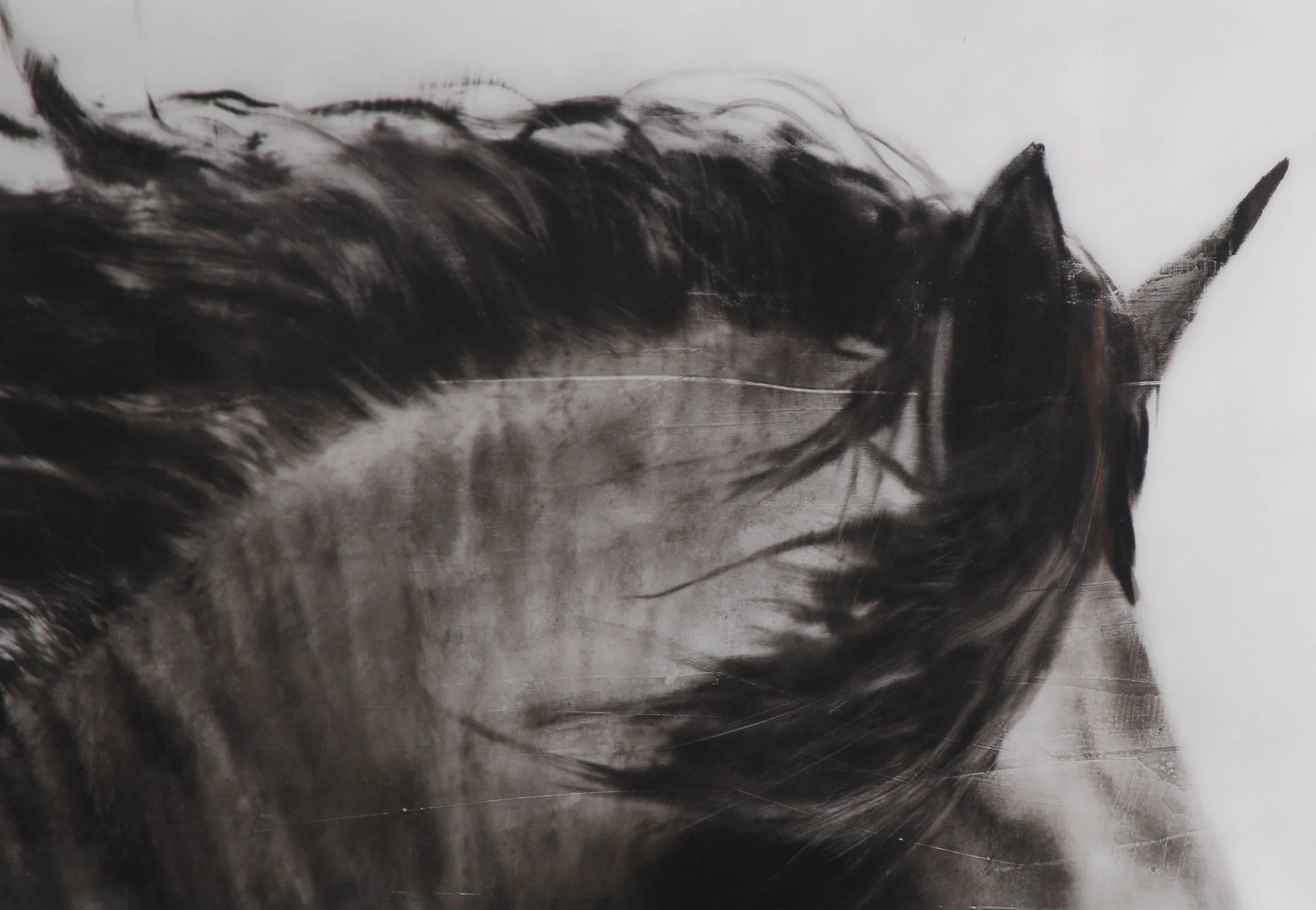 Flee to Freedom:: Hyperrealistisches Gemälde:: Pferd:: Reiterkunst:: Schwarz-Weiß 4