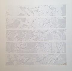 White Wash 7