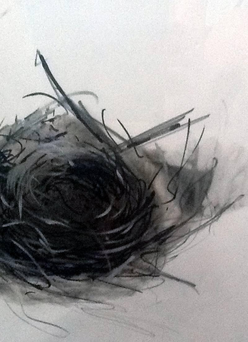 
Nest 1 is a Carbon Smoke and Acrylic artwork on Paper by Hawaii artist Wayne Zebzda.  It is 14x14, framed to 16x16.

Wayne Zebzda was born in Hartford Connecticut and started his journey out west attending the San Francisco Art Institute on a full