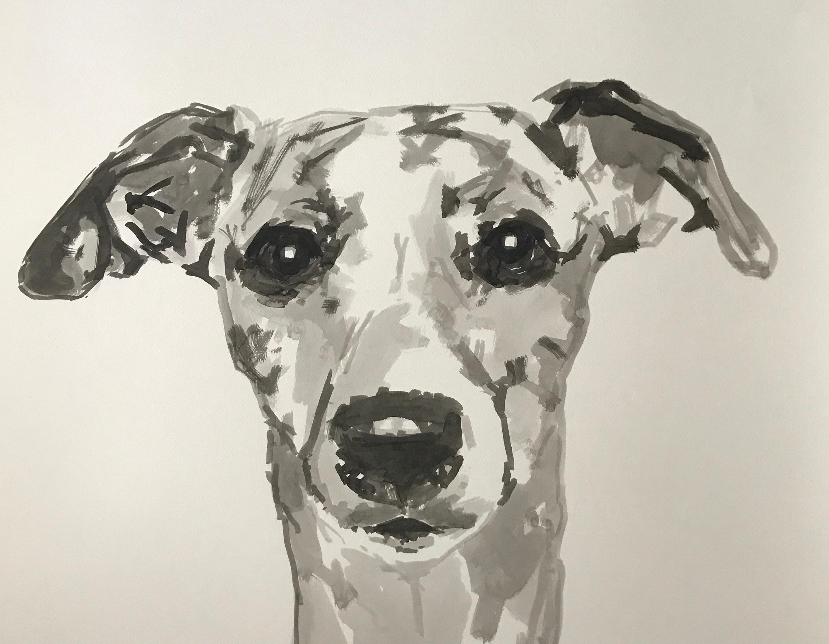 Sight Hound, large contemporary minimal portrait in black ink on paper - Painting by Ian Mason