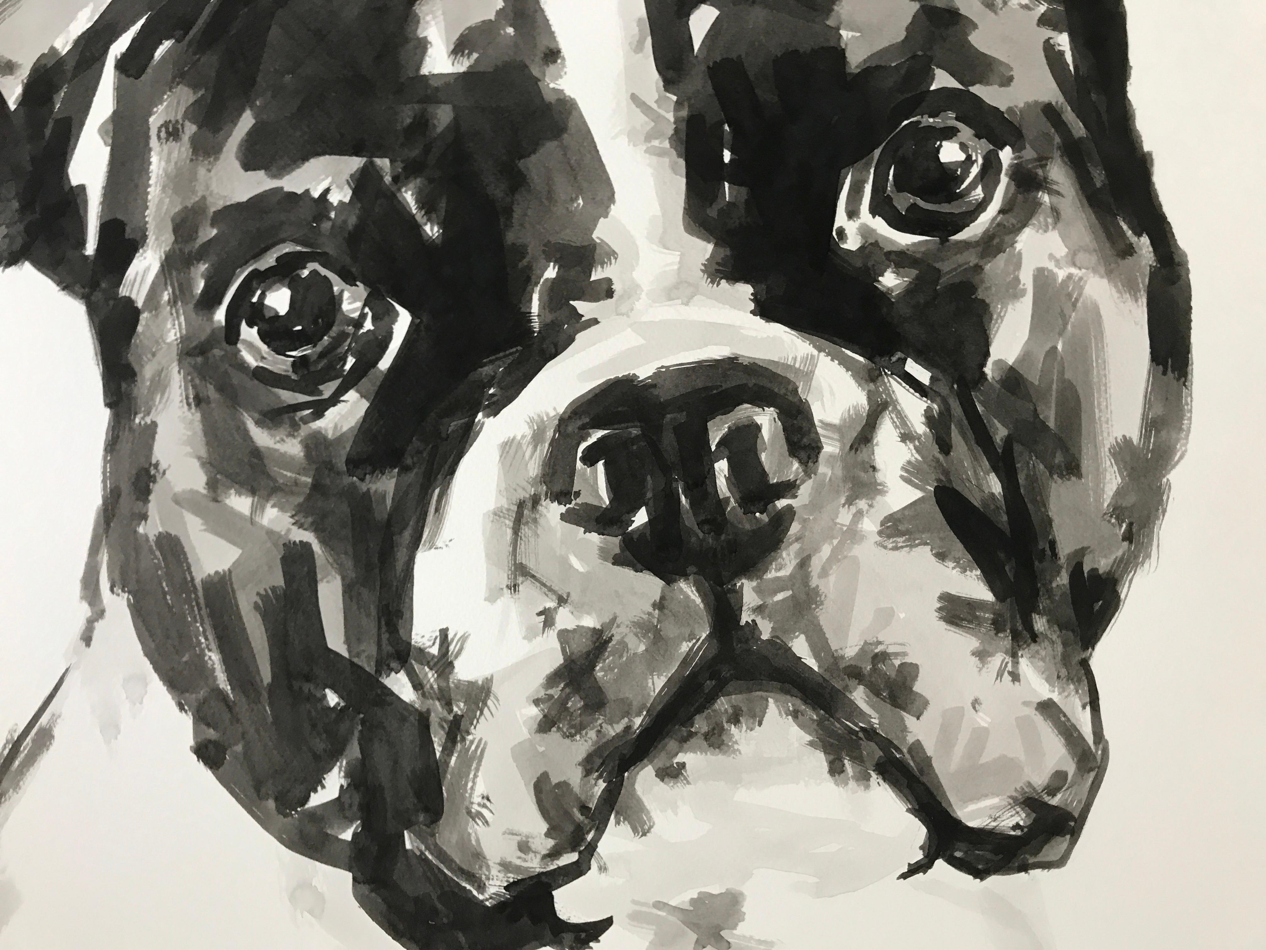 Boston Terrier, großes zeitgenössisches, minimalistisches Porträt eines Hundes in Schwarz auf Papier (Grau), Animal Painting, von Ian Mason