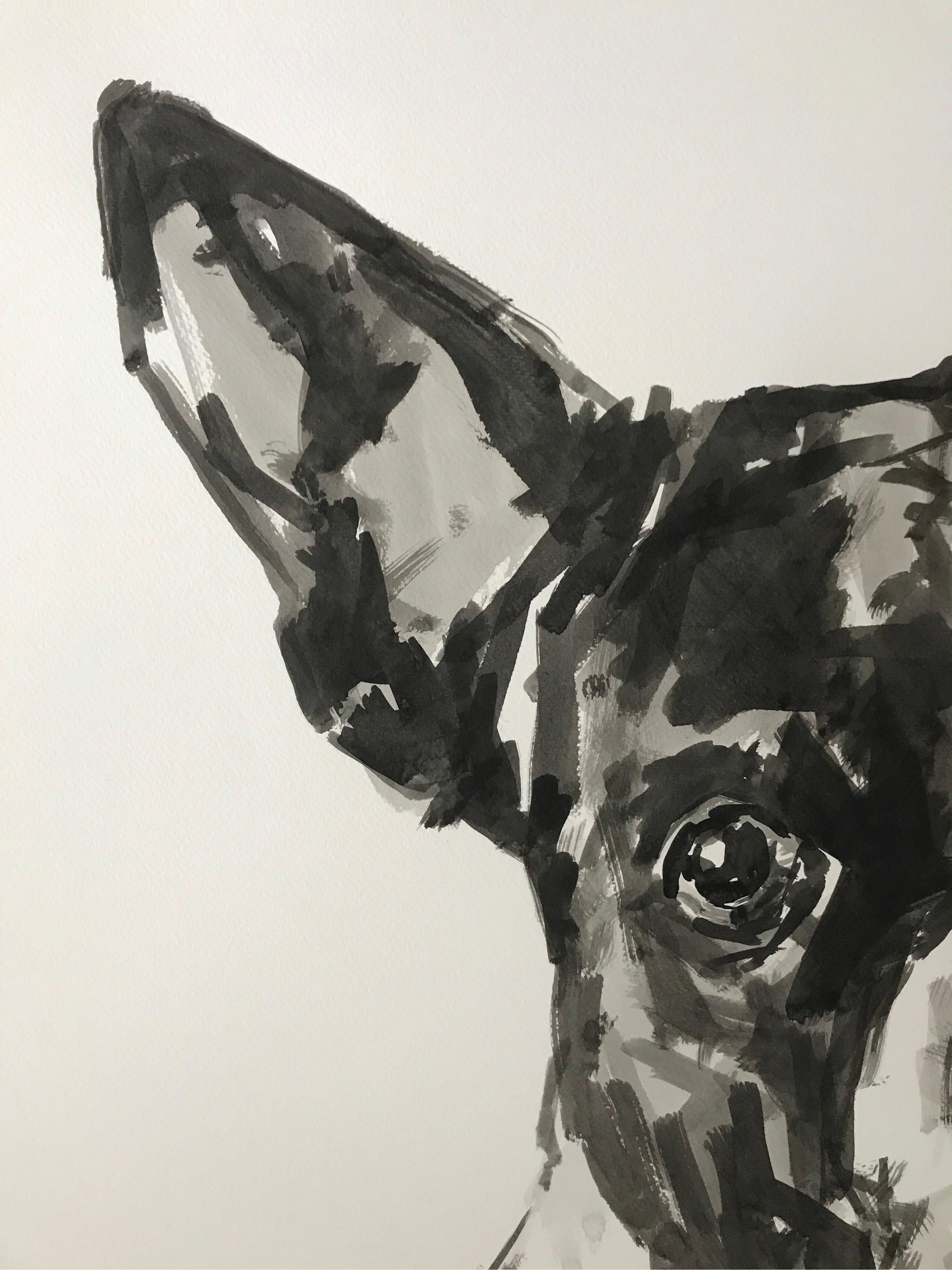 Boston Terrier,  Dieses atemberaubende große schwarz-weiße Tuschegemälde eines Boston Terriers ist ein zeitgenössisches, minimalistisches Porträt in schwarzer Tinte auf Fabriano 300gsm Papier. Ian Masons Hundeporträts sind sehr eindrucksvoll, da er