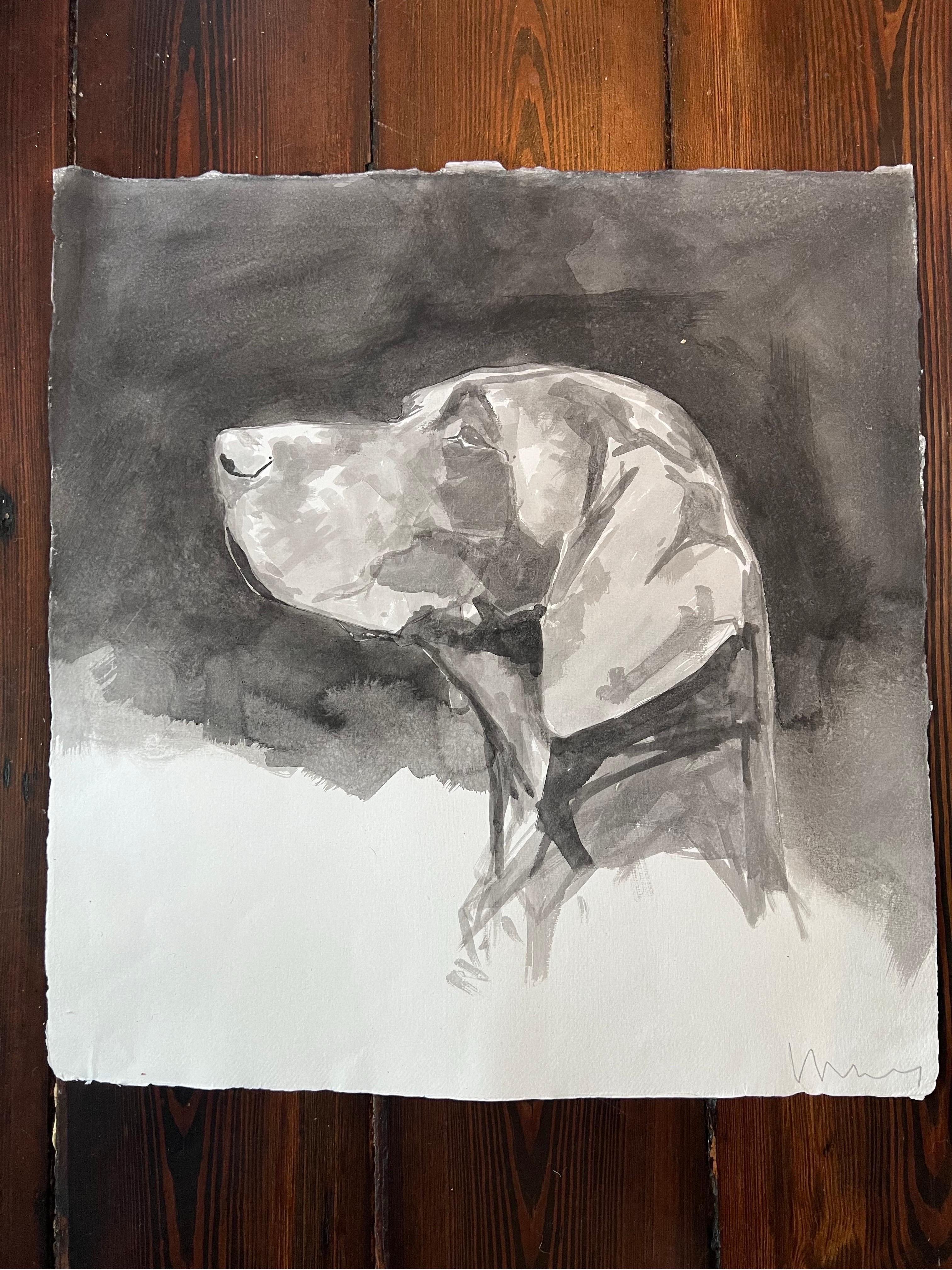 This stunning black and white ink dog painting of a German Shorthair Pointer dog, is a contemporary minimal portrait on Fabriano 300gsm paper.  Ian Mason's dog paintings are very striking as he is able to capture the form of each dog breed with