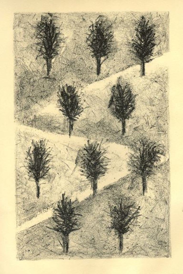 Shira Toren Landscape Print - Orchard