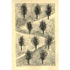 Orchard 8