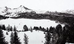 Winter Landscape