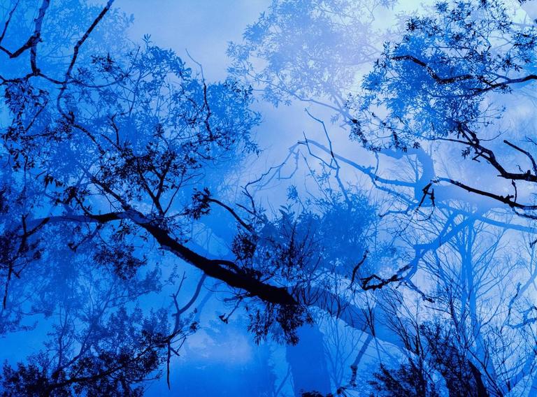 Leah Oates Color Photograph - Transitory Space #11