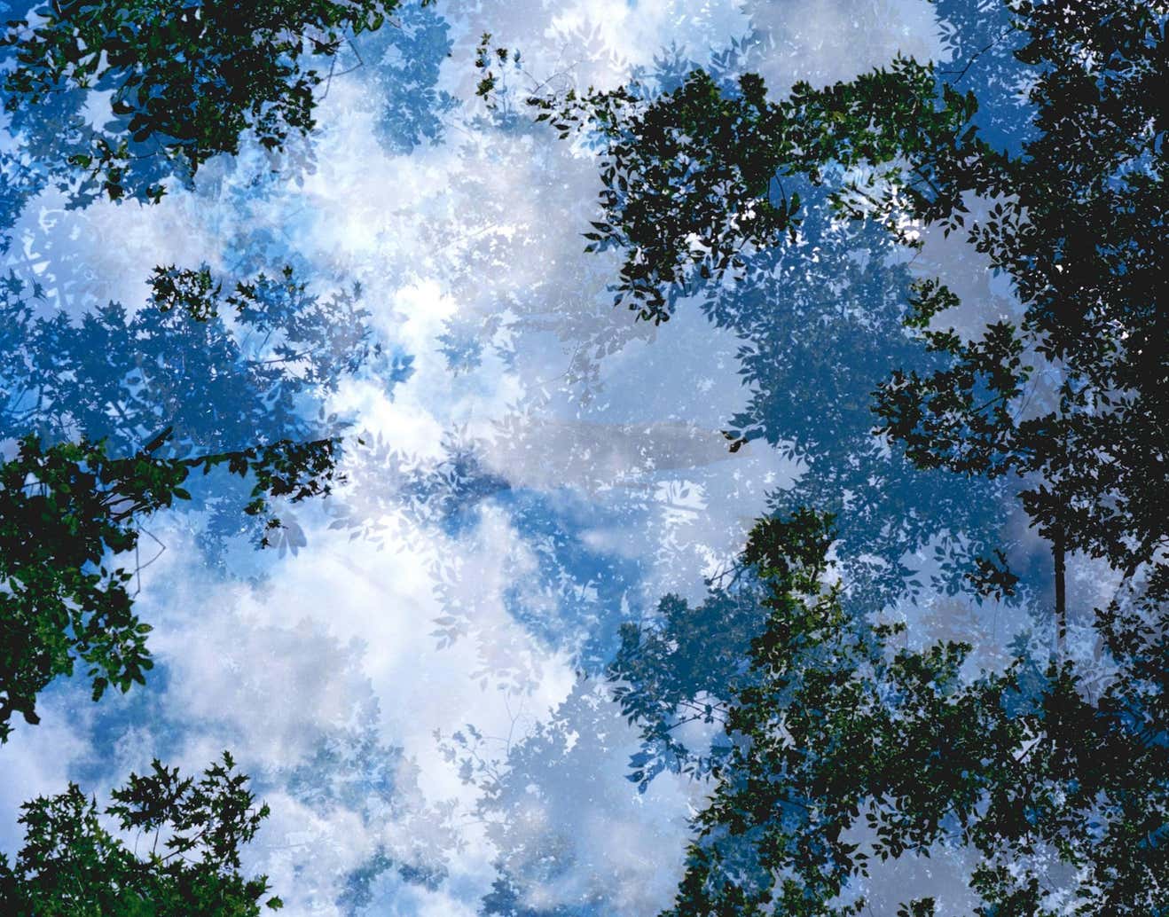 Leah Oates - Transitory Space #21 For Sale at 1stDibs