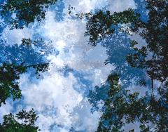 Transitory Space #21 5