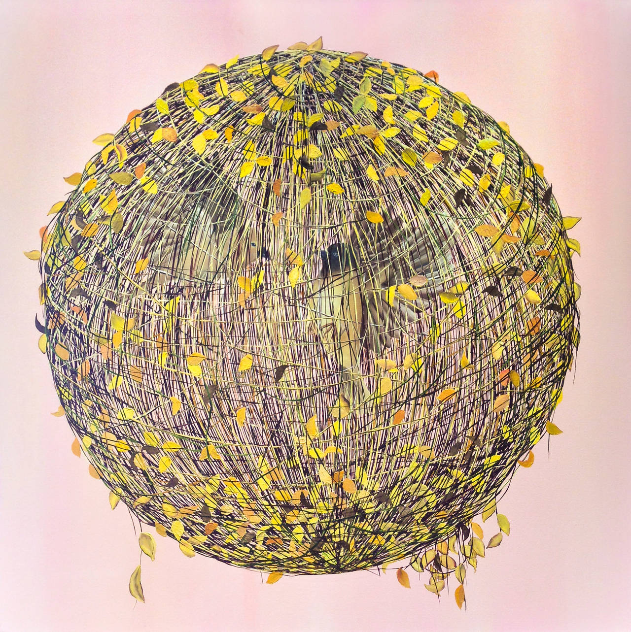 Animal Painting di Allison Green - Teoria delle stringhe (Blush)