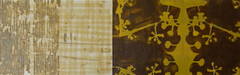 Plaids and Prints 12