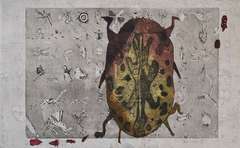 Beetle 12