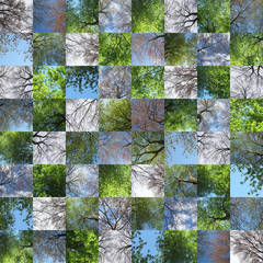 Leafing Out 8