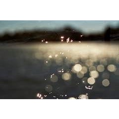 Natural Dots 2