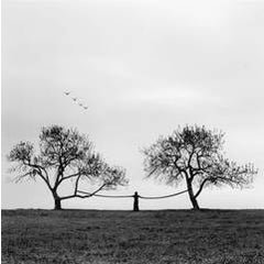 One With the Birds 5