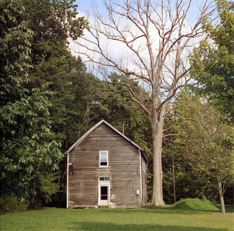 Maria Passarotti Color Photograph – Erscheinung