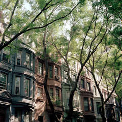 Canopy 6