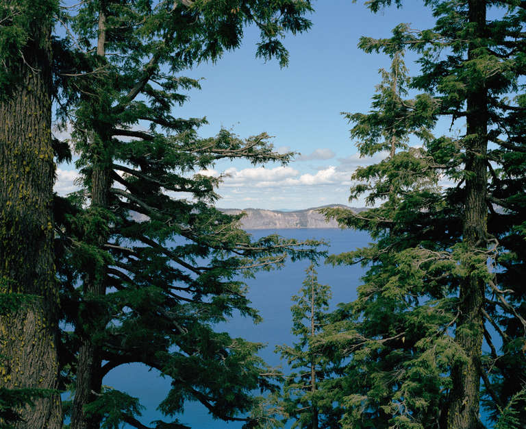 Concealed Vista, color photograph of landscape, forest and water