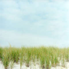 Dunes 7