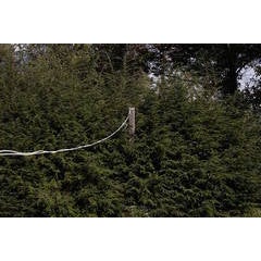 Clothes Line 1