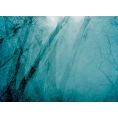 Prospect Park 10 7