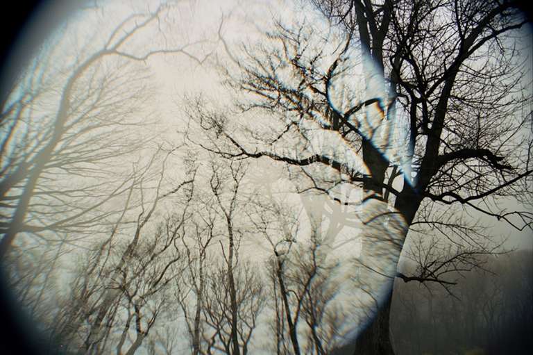 Color Photograph Leah Oates - Prospect Park 10