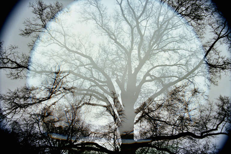 Leah Oates Landscape Photograph - Prospect Park 2