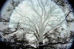 Prospect Park 2 10