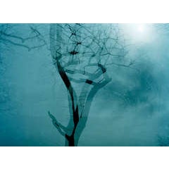Prospect Park 5 7
