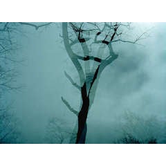 Prospect Park 6 9