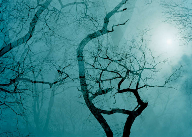 Leah Oates Landscape Photograph - Prospect Park 7
